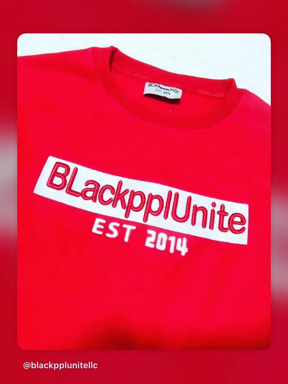 Blackpplunitellc Red Men’s 3D Embroidery sweatshirt.